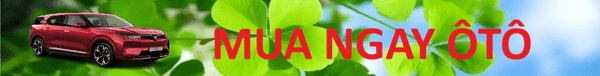 Soi cầu miền Bắc